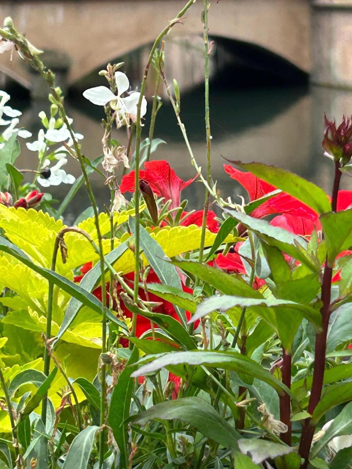 Les Hortensias Fortschwihr Eksteriør billede
