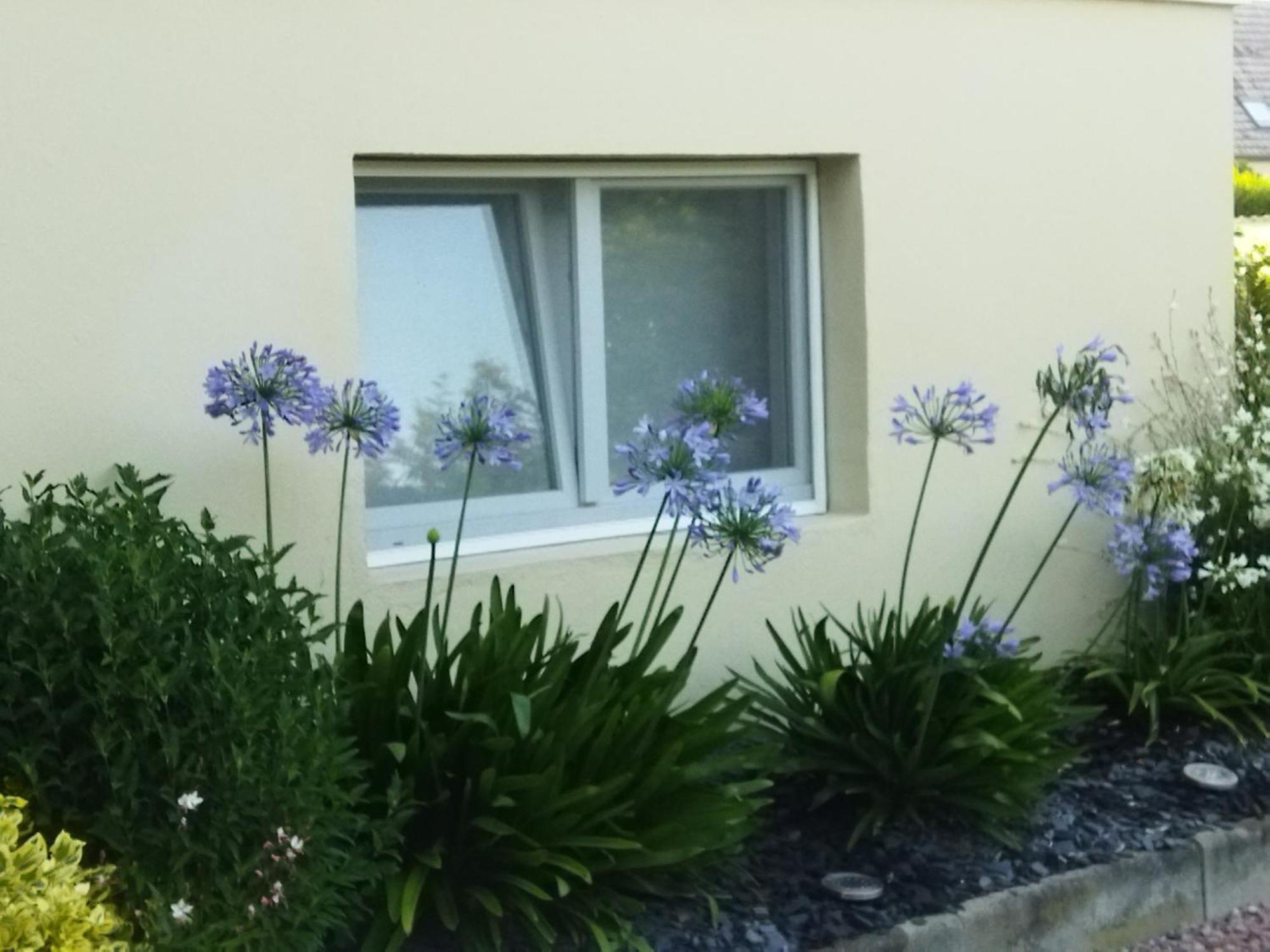 Les Hortensias Fortschwihr Eksteriør billede